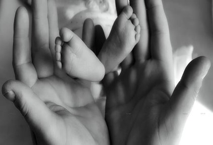 حوار بين أربعة أشخاص حول الوطن والصدق وإكرام الوالدين بكل مكوناته