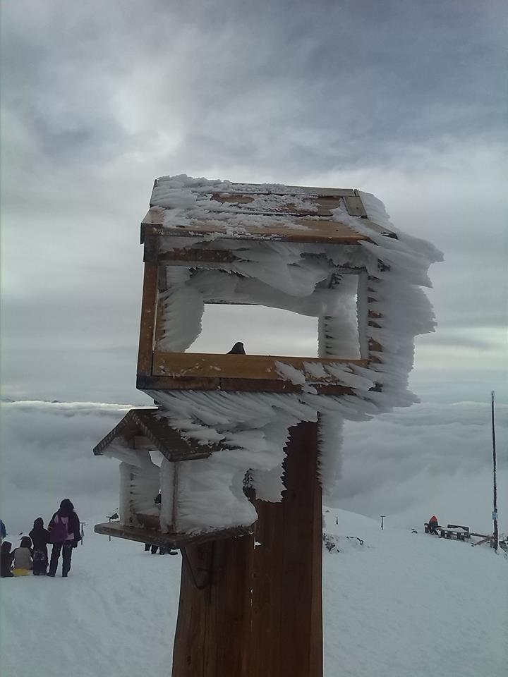 Recuerdos de Bariloche