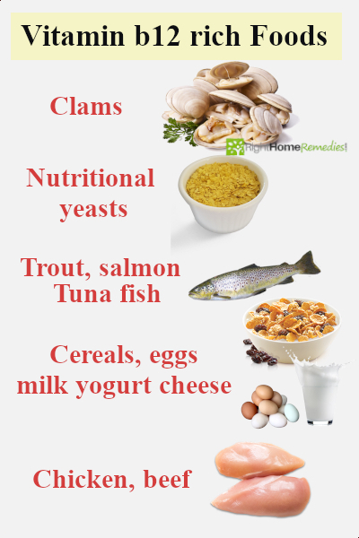 Vitamin B12 rich Foods