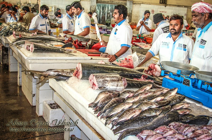 Рыбный рынок дубая Рыбный рынок дубая