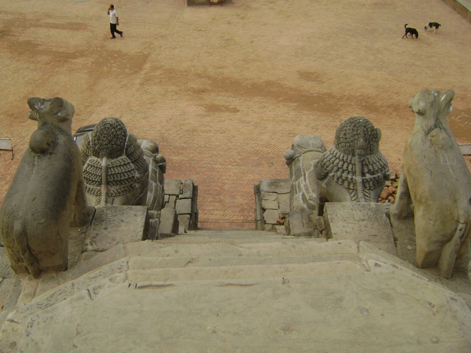 Adventure Vet Bhaktapur Durbar Square