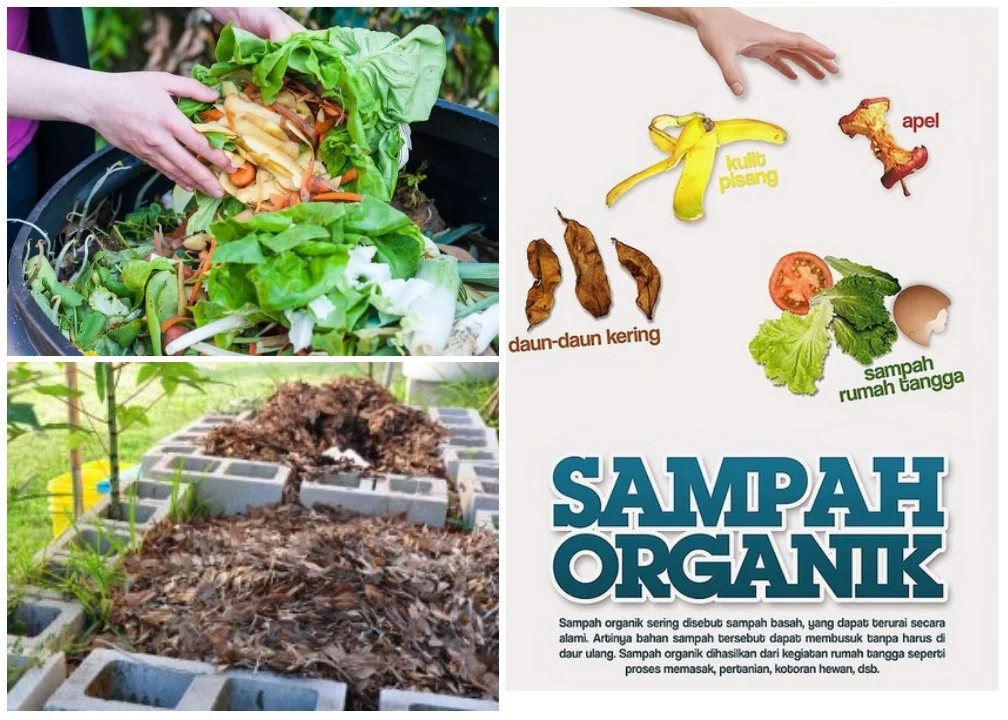 Cara Membuat Kompos dari Sampah Dapur untuk Tanaman Rumah