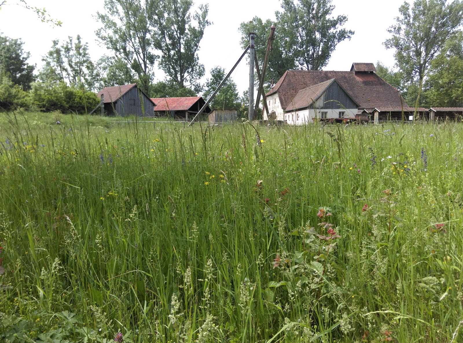 Ausflugsziele in Franken mit Kindern: Ideen für jedes Alter Ausflugsziele in Franken mit Kindern: Ideen für jedes Alter