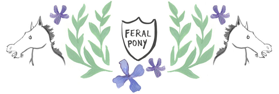 Feral Pony Illustration