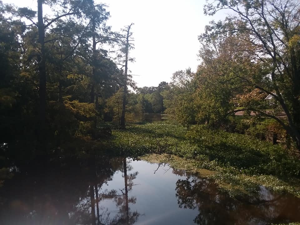 A Traveler's Guide To The Galaxy Saturday Afternoon On Bayou Boeuf, Louisiana