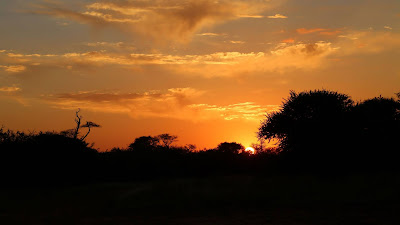 Screen background Silhouette of nature, sunset, trees