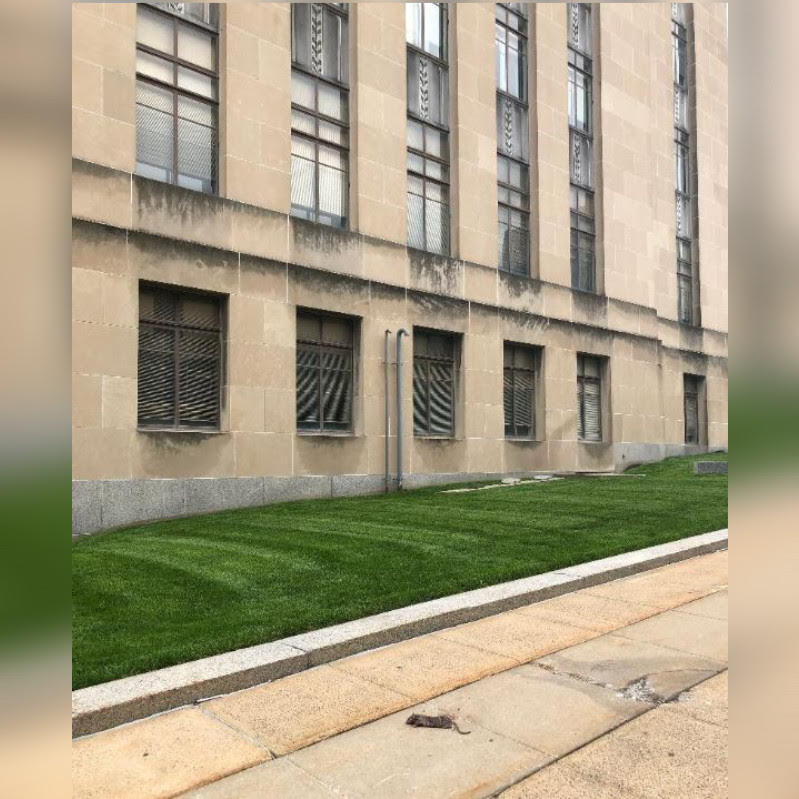 TKC CONFIRMED!!! DOWNTOWN KCMO RAT CRISIS NOW CONFRONTS CITY HALL!!!