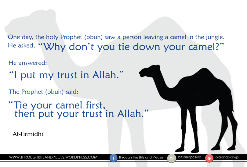 steadyaku47 Trust In ALLAH but tie your camel first!
