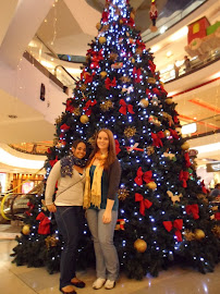 Christmas tree in Oviedo