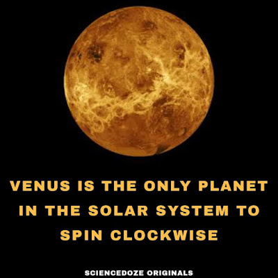 Venus facts