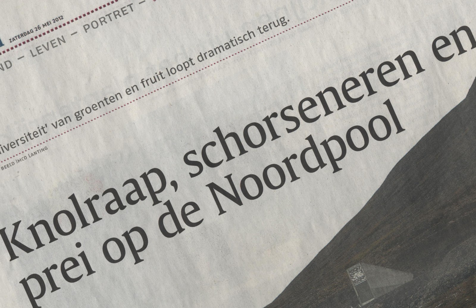Knolrapen, lof, schorseneren en prei Ukulogie! Knolrapen, lof, schorseneren en prei Ukulogie!