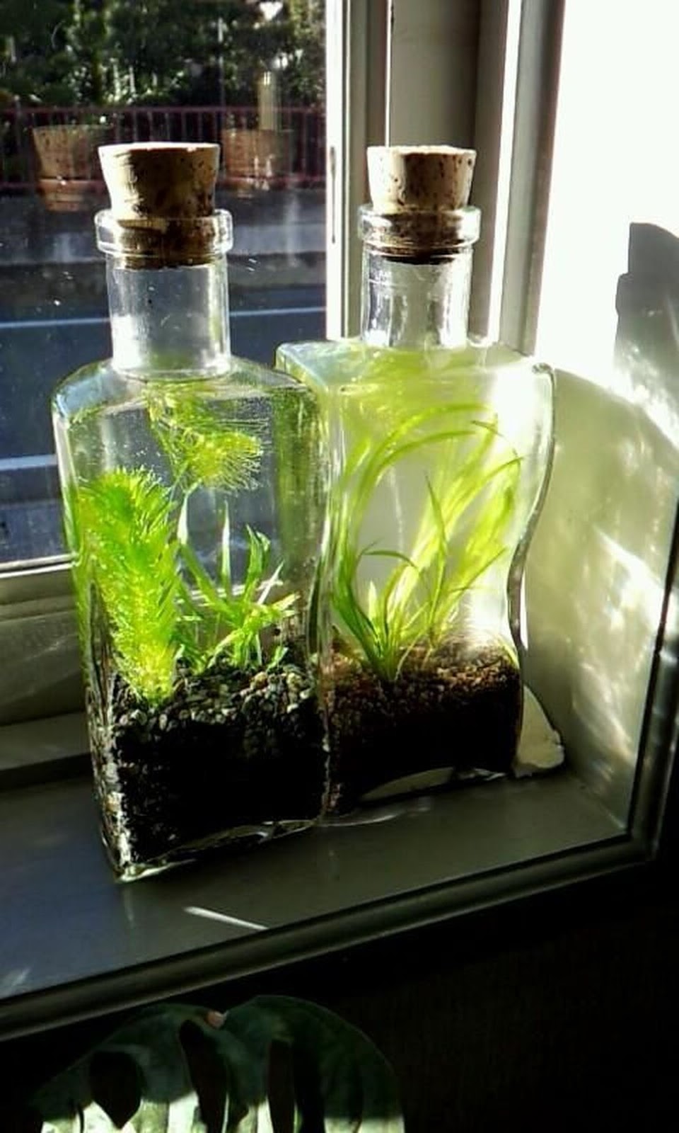 20+ Attractive Indoor Water Garden Ideas For Enjoy Your Time