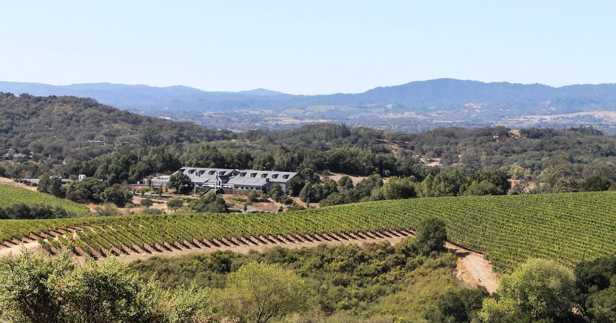 Thoughts of La Wina Chalk Hill Estate Wines