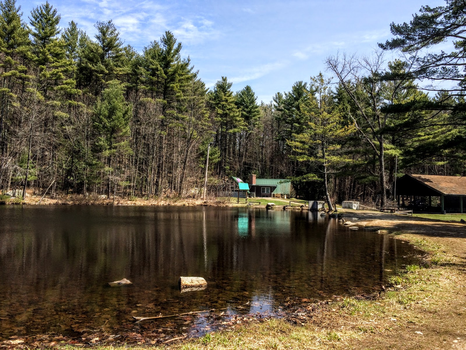 The Daily Woot Trout Brook Conservation Area