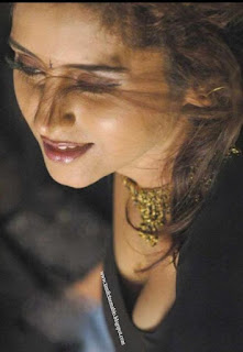 Tamil actress Sunitha varma hot saree photos