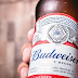 Budweiser Purchases Rocket NFT — 'King of Beers' Buys Beer.eth ENS Name for $96K 