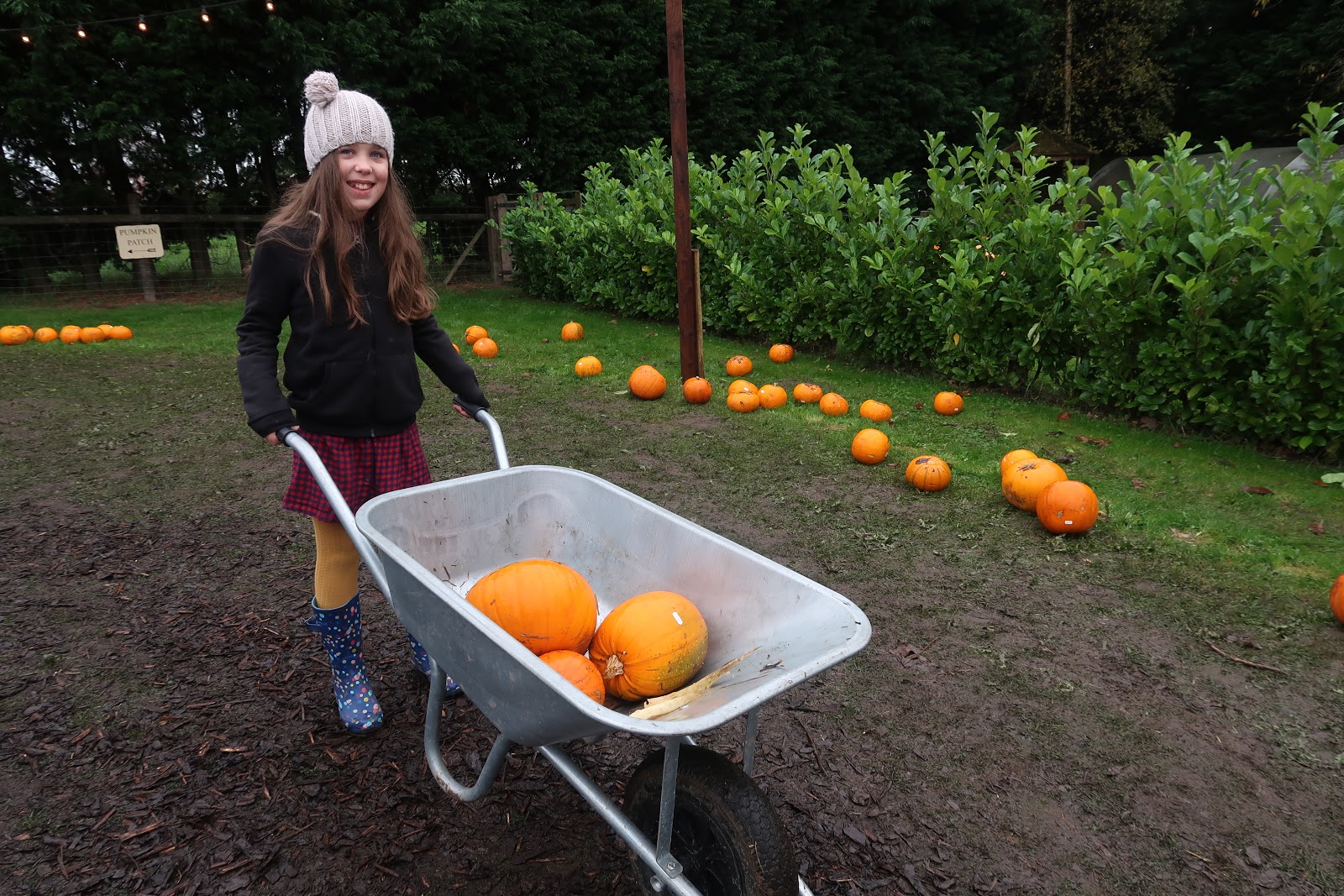 Uncoventional Kira PUMPKIN PATCH WHEELOCK FARM 2019