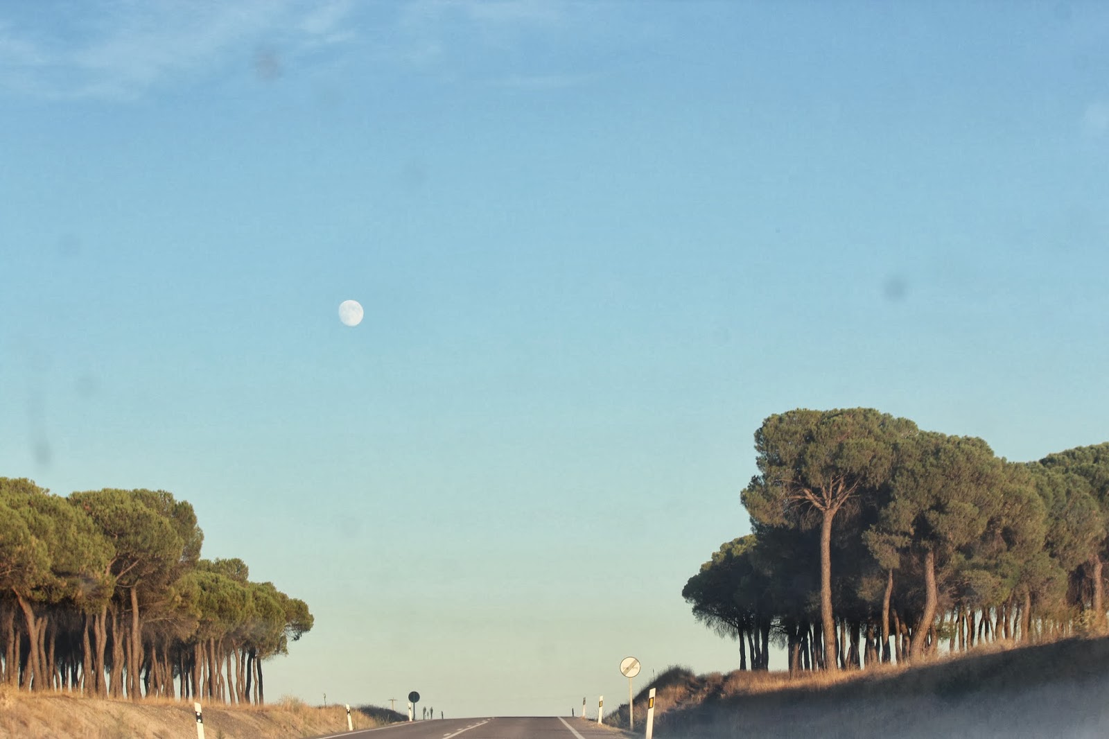 Historia y Genealogía Villanueva del Aceral. Ávila