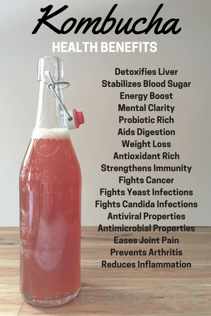 Make Your Own Kombucha The Petite Plantation Make Your Own Kombucha The Petite Plantation