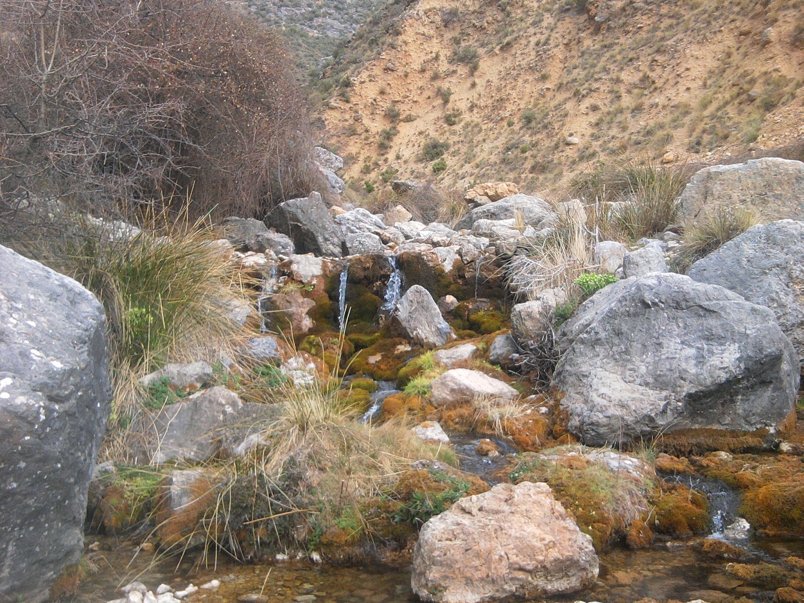 Foto de Nacimiento Río Gargantón en Bélmez de la Moraleda, Jaén