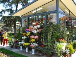 Memulai Usaha Rumahan Florist ~ Peluang Usaha di Rumah