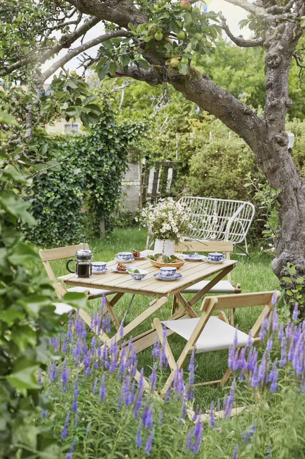 ������� ��� ������ ������ jardin-petit-cottage