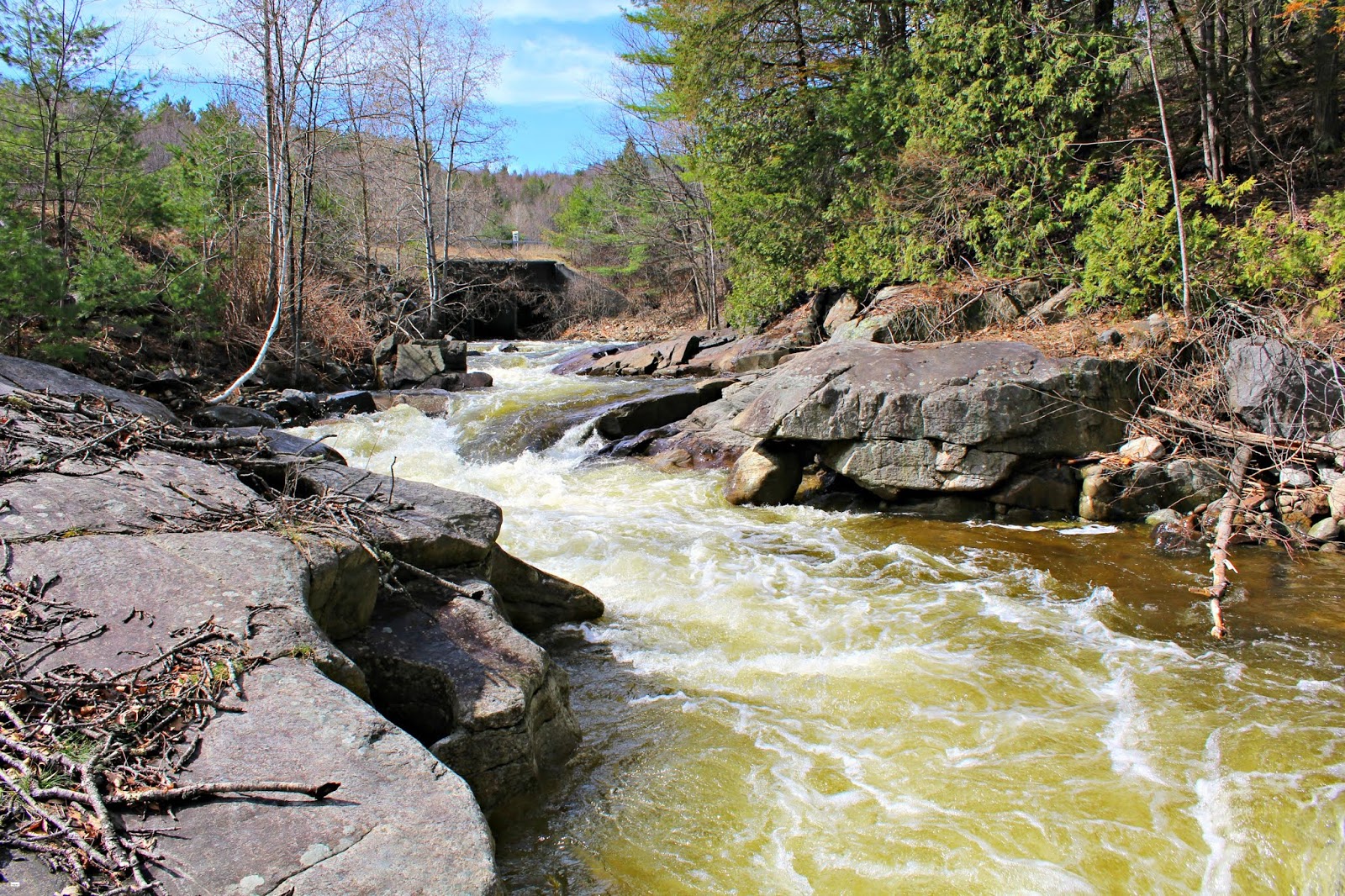 Rice's Falls // Elizabethtown, New York Caravan