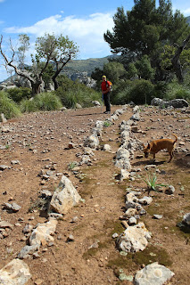 Rellar de Son Marc. -Foto; Pilar García. -GAME Rellar de Son Marc. -Foto; Pilar García. -GAME