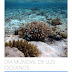 Comprensión lectora: Día Mundial de los Océanos (Nivel C2)