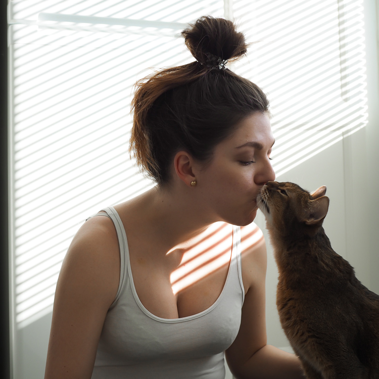 aikuinen julkkis porno