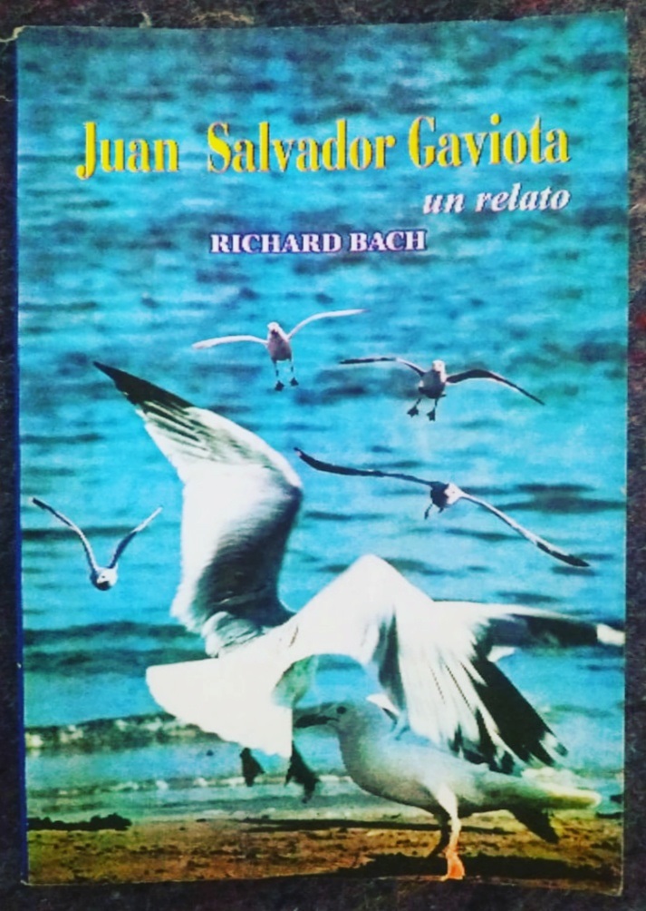 juan salvador gaviota pdf ingles juan salvador gaviota pdf ingles