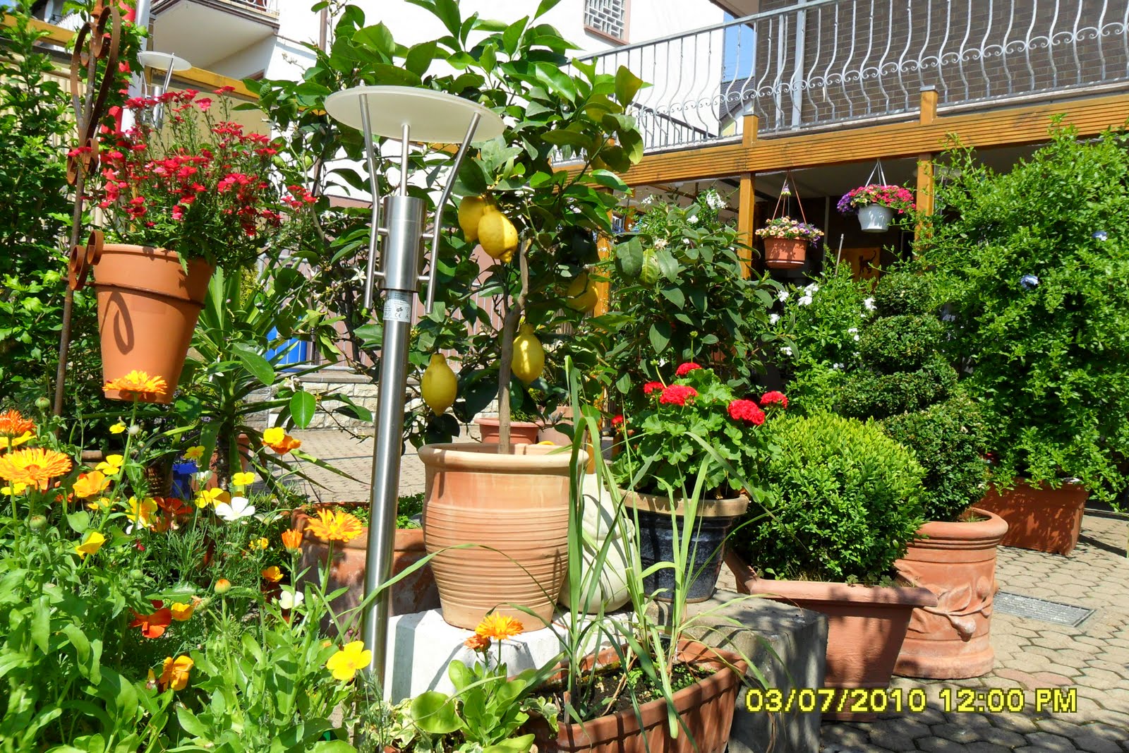 Martinas Kochküche: rund um den Garten