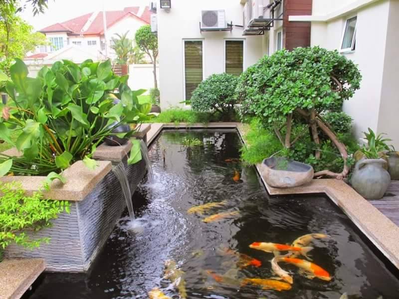 Inspirasi Kolam dan Taman Rumah Minimalis