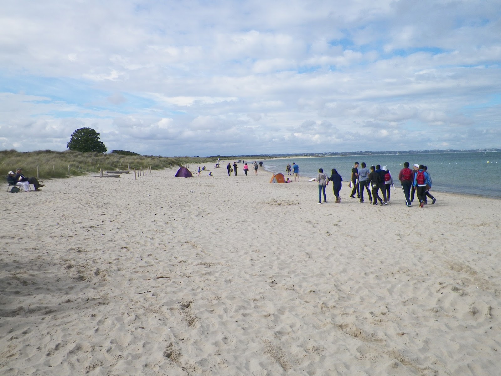 studland bay coursework studland bay coursework