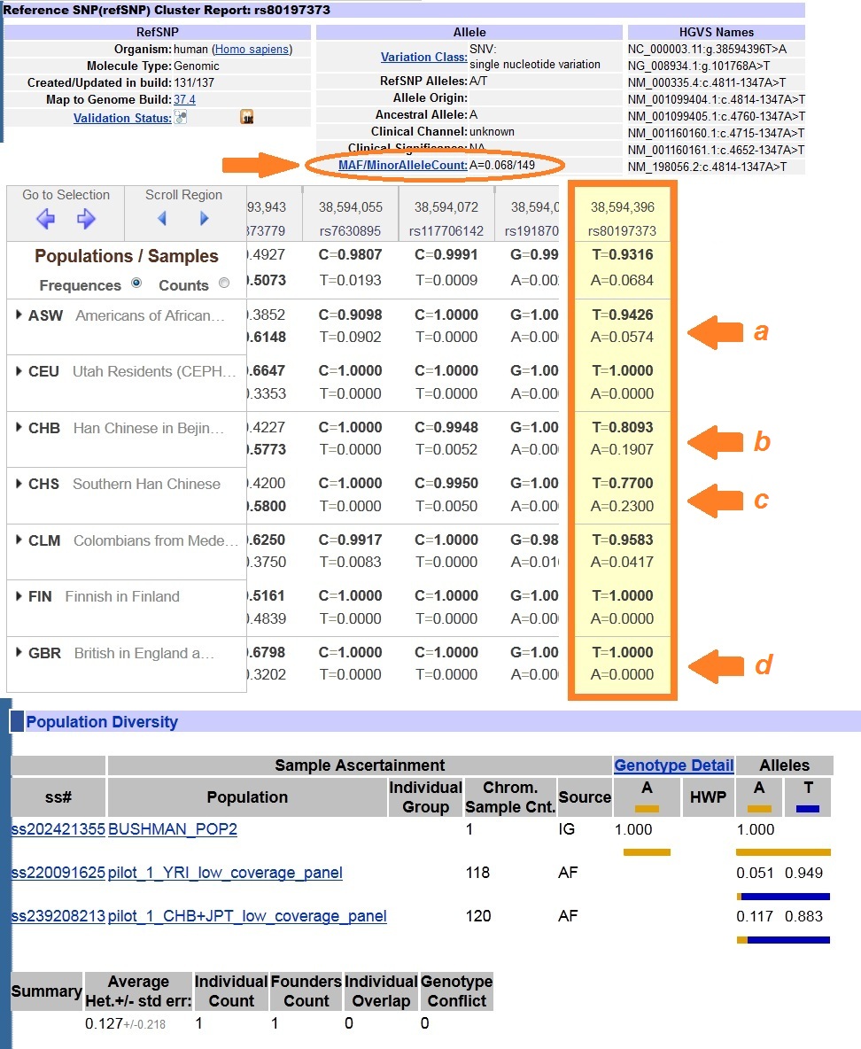 LEZIONI DI VALUTAZIONE DELLA FREQUENZA ALLELICA DELLE