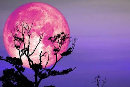    Malam Nisfu Syaban, Puncak Bulan Syaban yang Penuh Dengan Rahmat