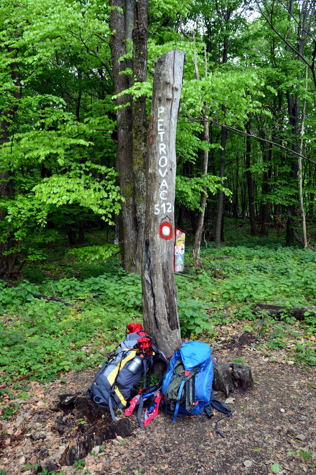 Ljepote planina Planinarska obilaznica Petrova gora, travanj 2017.