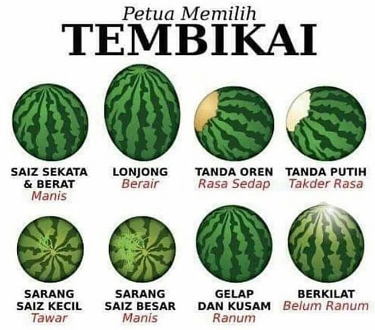 Petua Memilih Tembikai Yang Asas Untuk Peminat Tembikai