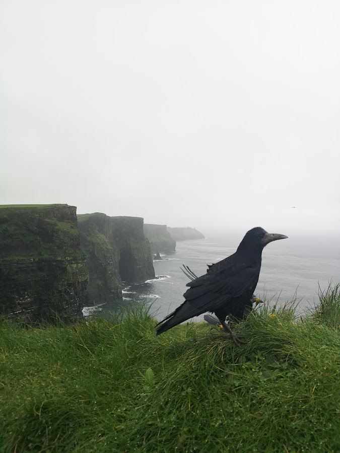 Cliffs of Moher, Ireland