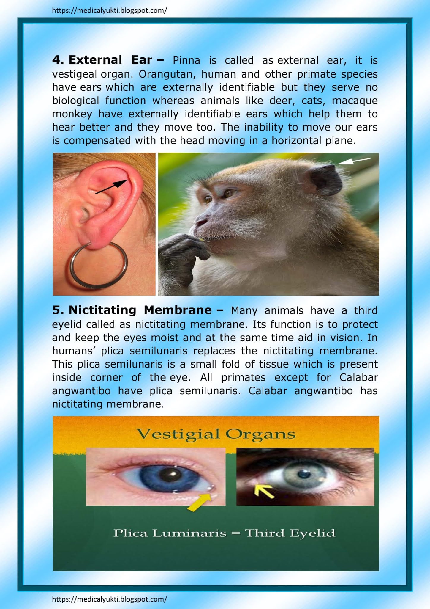 Vestigial organs Medical Yukti