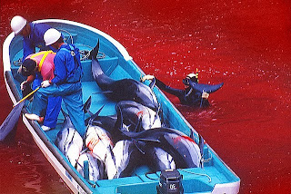 Matanza de delfines en japon