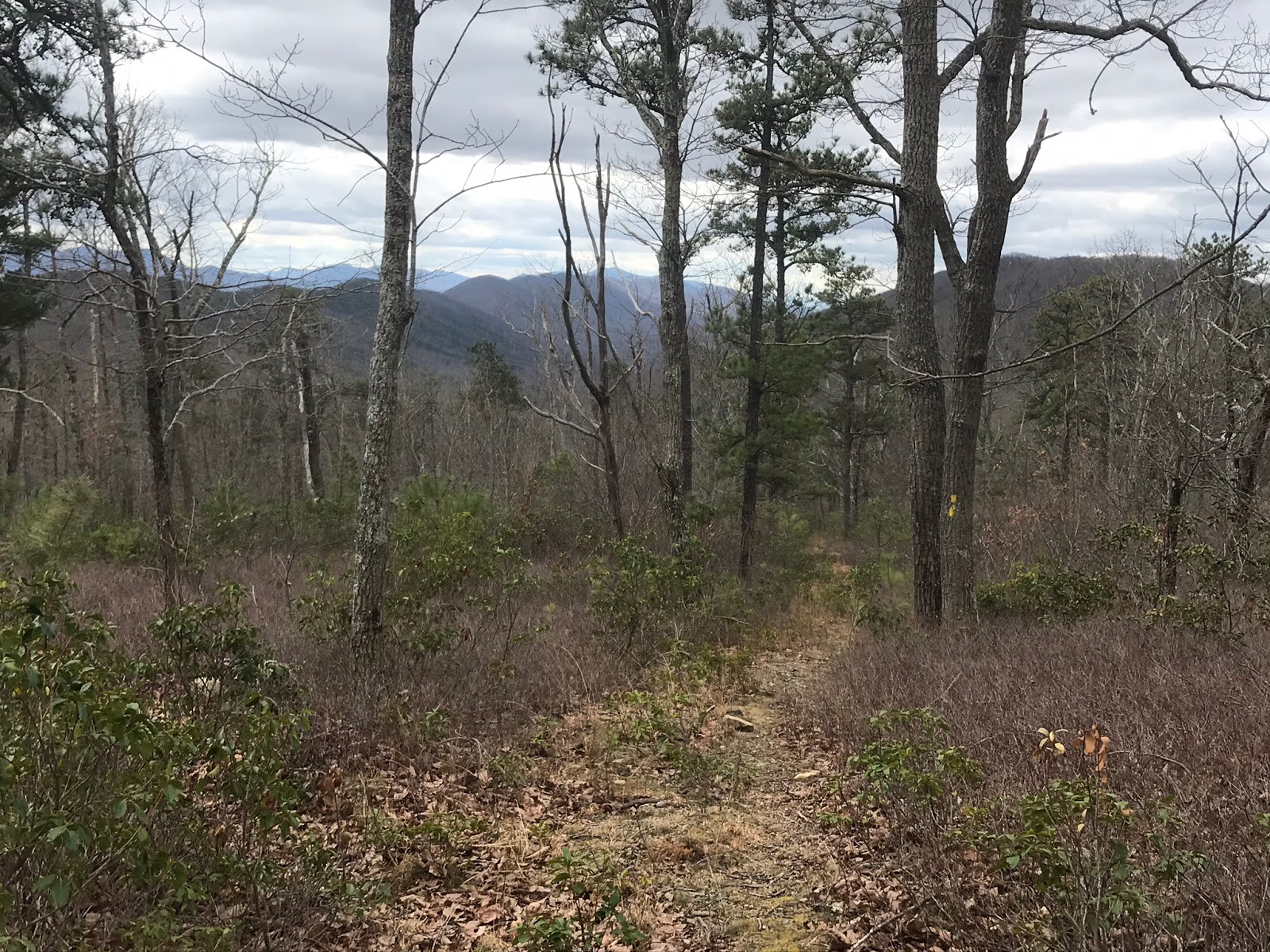 Wandering Virginia Mill Mountain Trail, Part 2