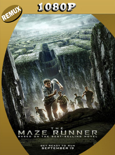 Maze Runner: Correr o morir (2014) Latino HD [1080p REMUX] [GoogleDrive] TeslavoHD