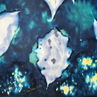 Wet cyanotype_Sue Reno_Image 557