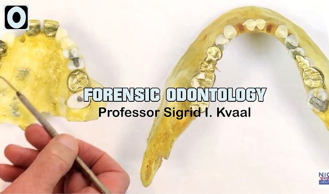 WEBINAR: Forensic Odontology - Professor Sigrid I. Kvaal and Senior Scientist Simen E. Kopperud