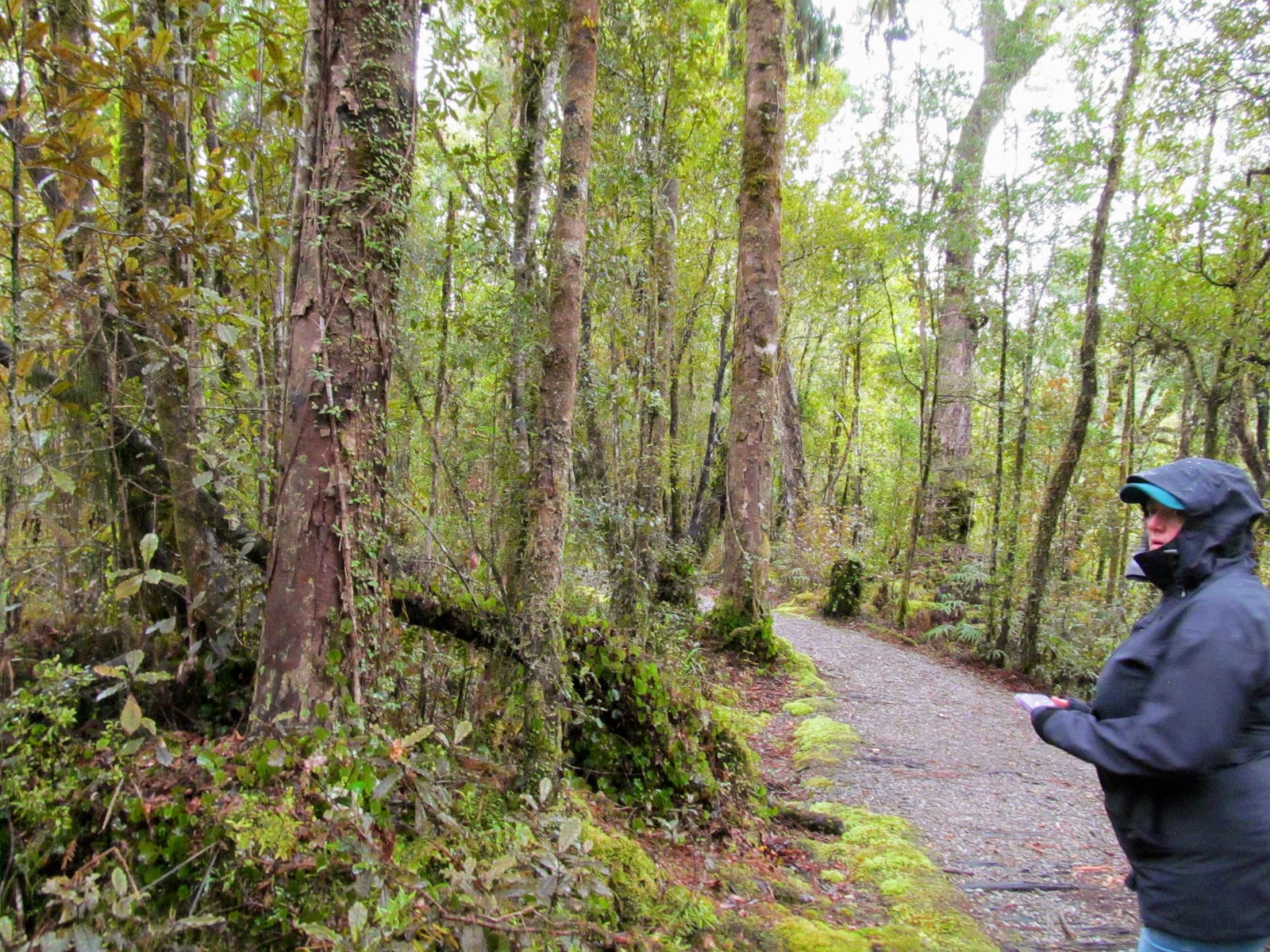 Tramping in the New Zealand backcountry NZ Bush Adventures Hokitika