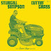 Sturgill Simpson - Cuttin’ Grass Vol. 1: The Butcher Shoppe Sessions Music Album Reviews