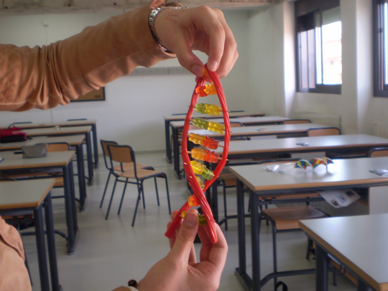 CREATE YOUR DNA MODEL GUMMY DNA MODEL