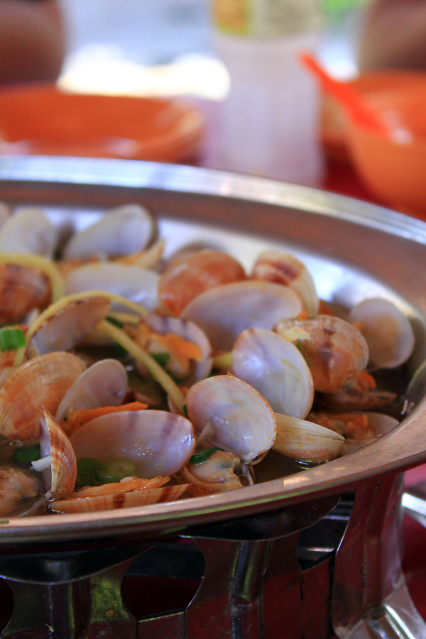 Plus Size Kitten Coconut Flower Telok Gong For Chinese New Year Lunch