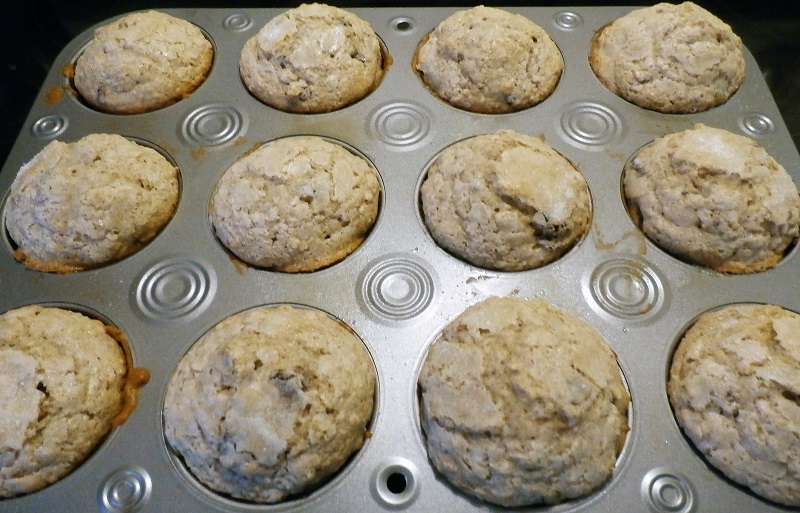 Sam's Place Oatmeal Craisin Muffins